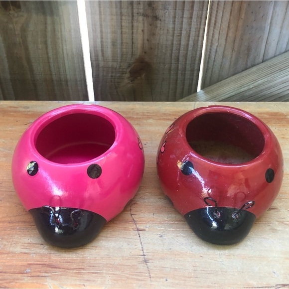 Set of 2 Rocket Farms Lovebugs Ladybugs Mini Planters Pink & Red with Hearts - Picture 2 of 8